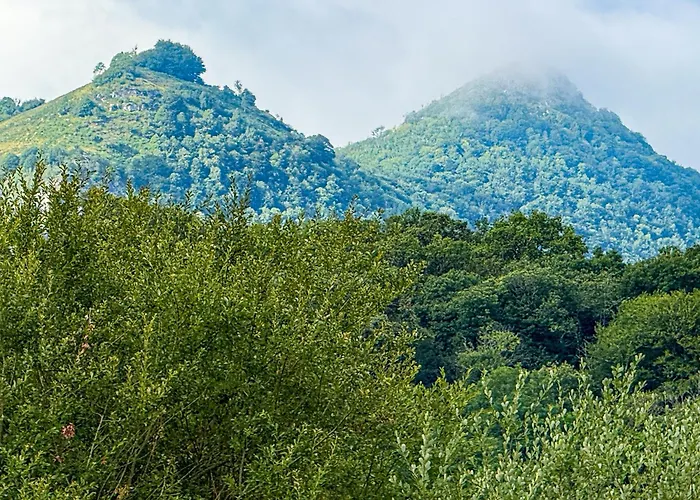 Nyaraló Le Domaine De Rose Lourdes