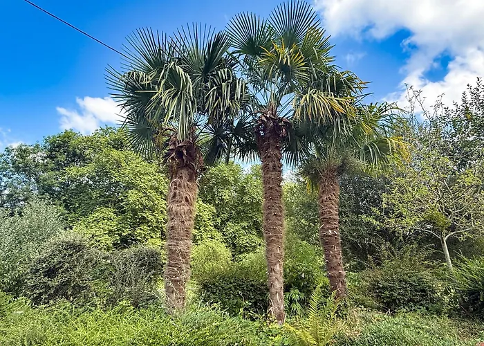 Le Domaine De Rose *